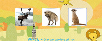 Zwierzęta egzotyczne