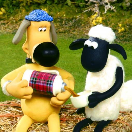 Baranek Shaun
