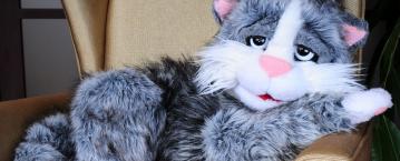 Opowieści Kota Śpiocha